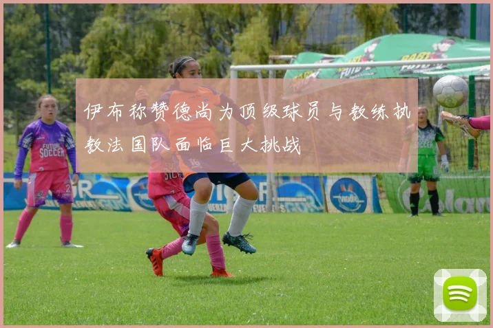 伊布称赞德尚为顶级球员与教练执教法国队面临巨大挑战