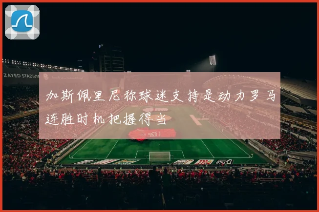 加斯佩里尼称球迷支持是动力罗马连胜时机把握得当